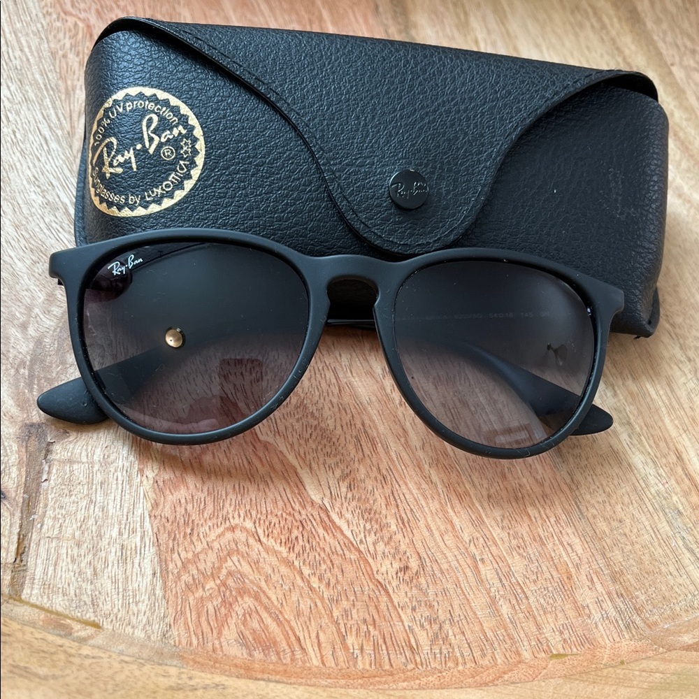 Ray-Ban Erika Classic Black Sunglasses